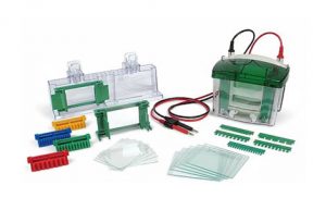brmpq115